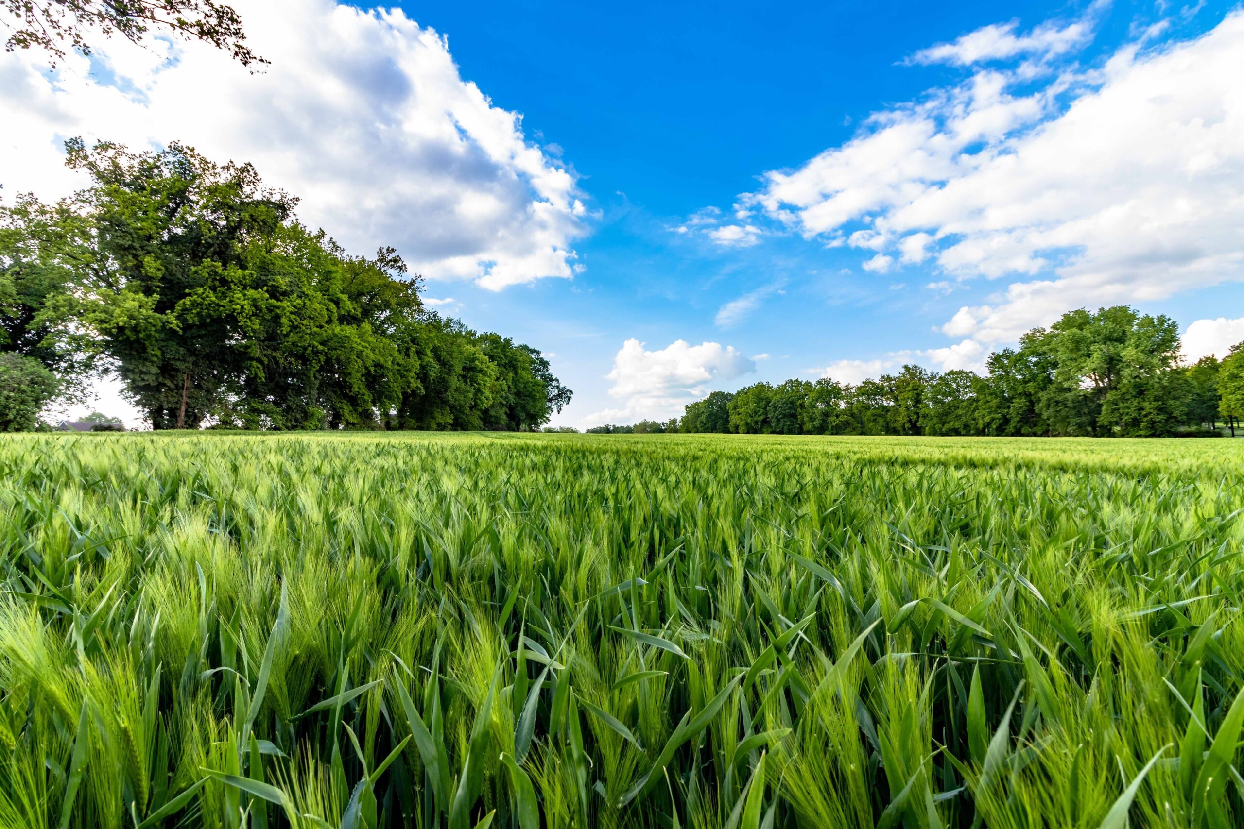 AGROPOLE INNOVATES: Eine Initiative zur Stärkung der Innovation im Agrobusiness